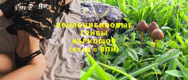 прущая мука Киренск