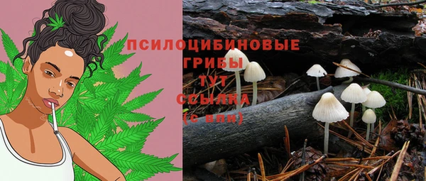 герыч Кинешма