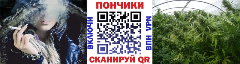Купить закладки  Урень  Бошки Шишки планчик 